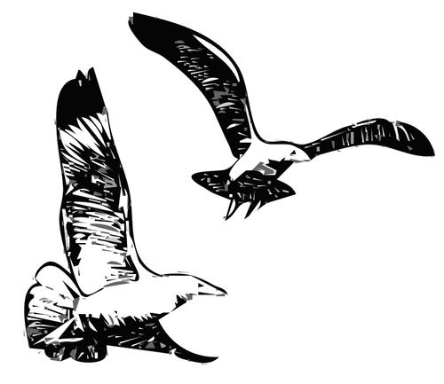 鲱鸥飞起来矢量图形